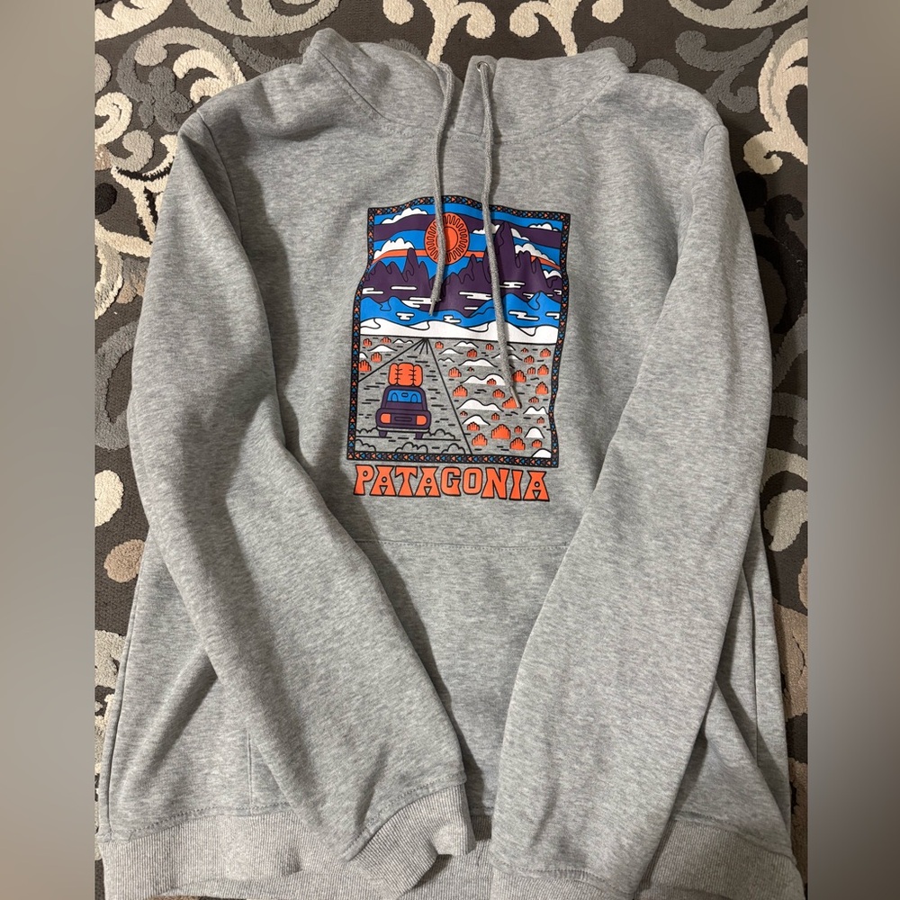 Patagonia sweatshirt